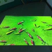 滥ͶӰϵͳλ